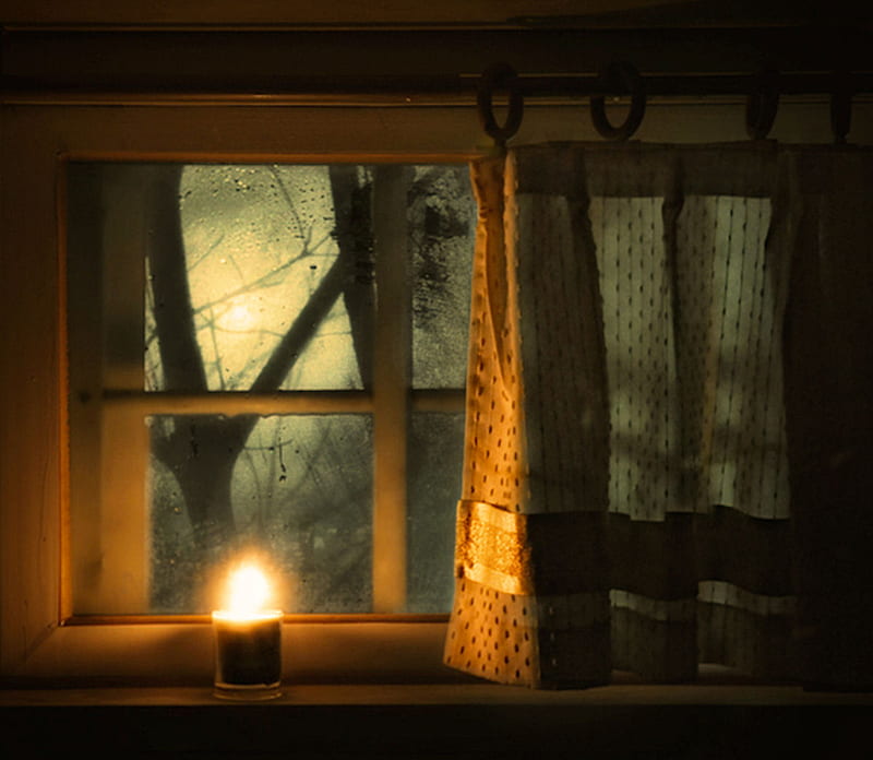 Warm Light in the Window, warm, window, light, HD wallpaper