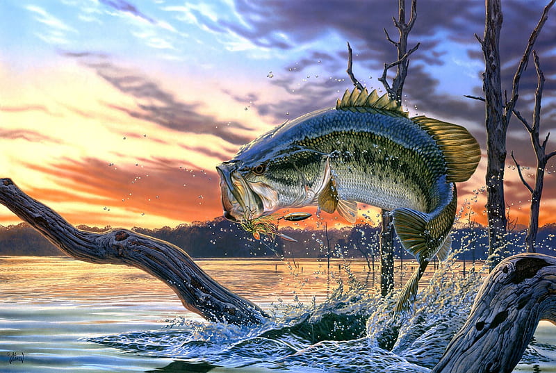 Fish-reproduction, Lake, Fish, Tree, Reproduction, HD wallpaper