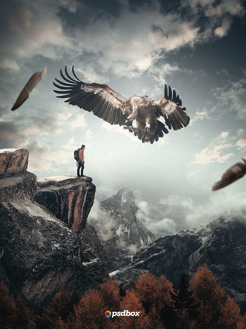 Andrei Oprinca, manipulation, hop, eagle, men, mountains, nature, vultures, HD phone wallpaper