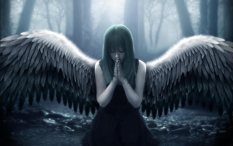 Angel, wings, night, dark, HD wallpaper | Peakpx