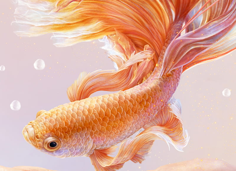 Golden Fish, alenaekaterinburg, frumusete, fantasy, fish, orange, luminos, golden, summer, vara, HD wallpaper