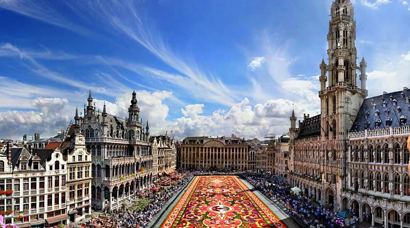 magnificent carpet made of flowers in a piazza r, piazza, people, buildings, flowers, r, carpet, sky, HD wallpaper