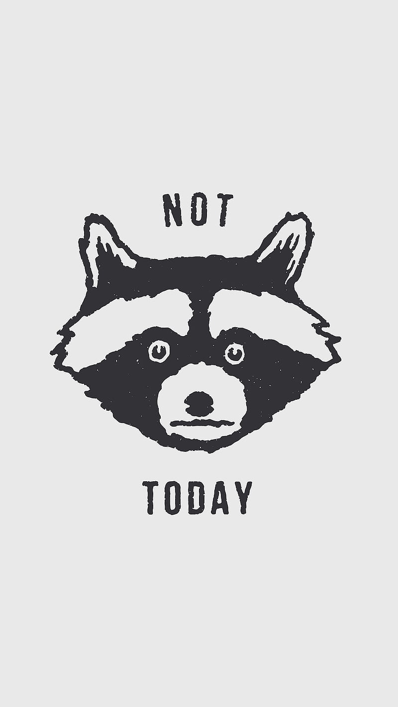 Not Today - Raccoon, Animal, Animals, Black, Cartoon, Cat, Cute, Dog, Face, Florent, Forest, Message, Mood, Negative, Pet, Positive, Text, Type, Vintage, Wild, typography, HD phone wallpaper