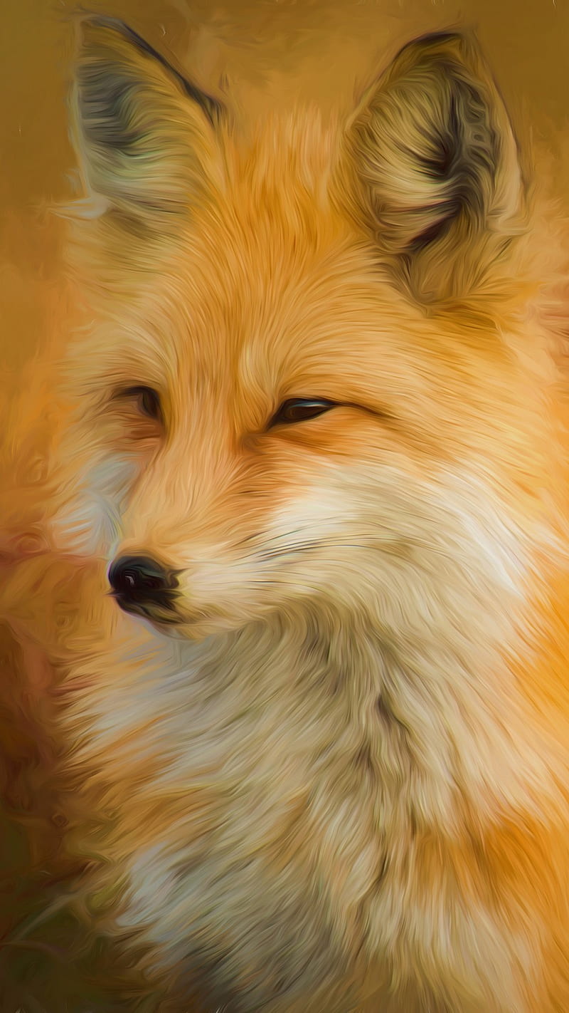 FOX, foxes, animal, animals, red, nature, wild, art, HD phone wallpaper