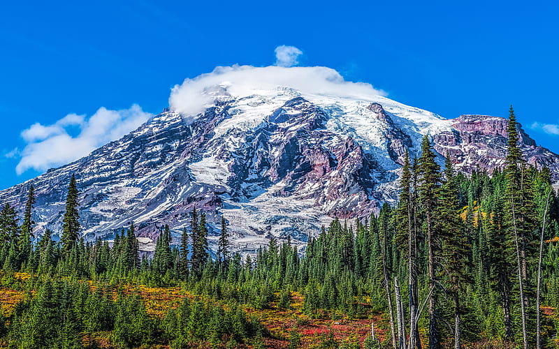 Mount Rainier, Mountain landscape, spring, Lewis County, Washington, Mount Rainier National Park, USA, HD wallpaper