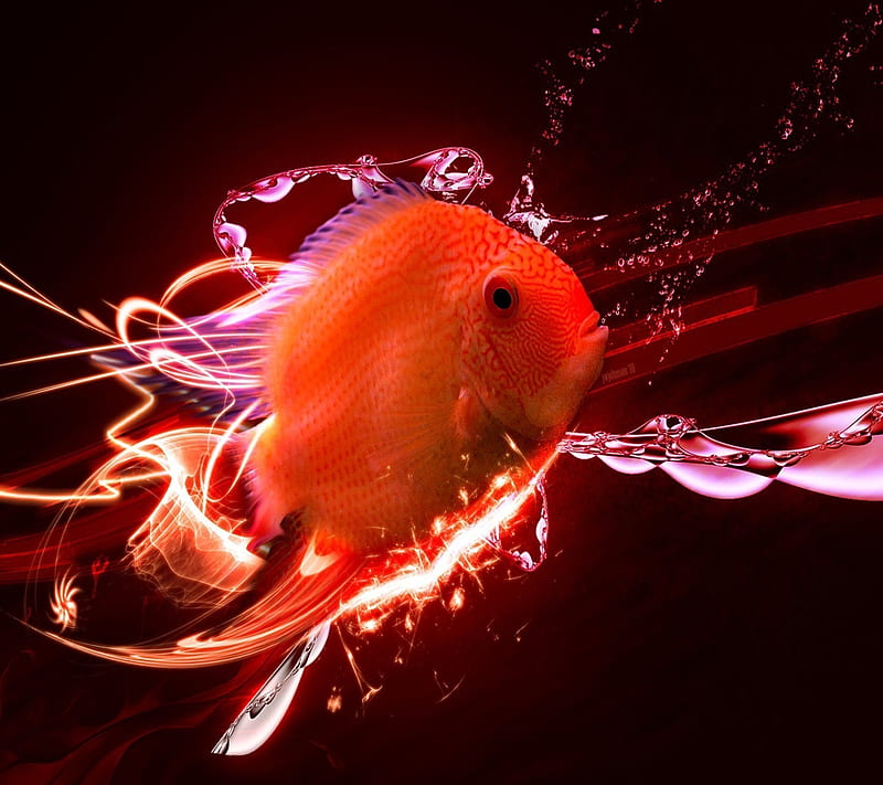3D Fish Tank Wallpaper 59 images