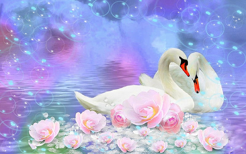 White Swan Lovers, softness beauty, most ed, digital art, seasons, sweet, lovers, bubbles, flowers, pink, animals, vector art, lakes, lovely, colors, love four seasons, creative pre-made, spring, roses, swans, cool, weird things people wear, beloved valentines, white, HD wallpaper