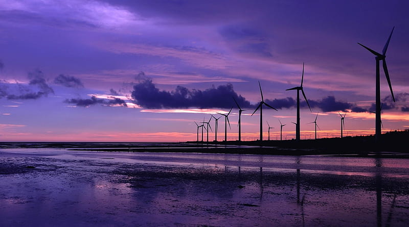 Wind turbines, purple sky, lovely, 1920x1080, background, HD wallpaper