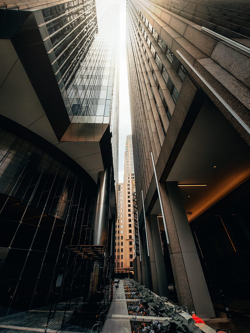 low-angle graphy of high-rise building, HD phone wallpaper