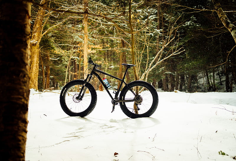 bike, forest, snow, HD wallpaper