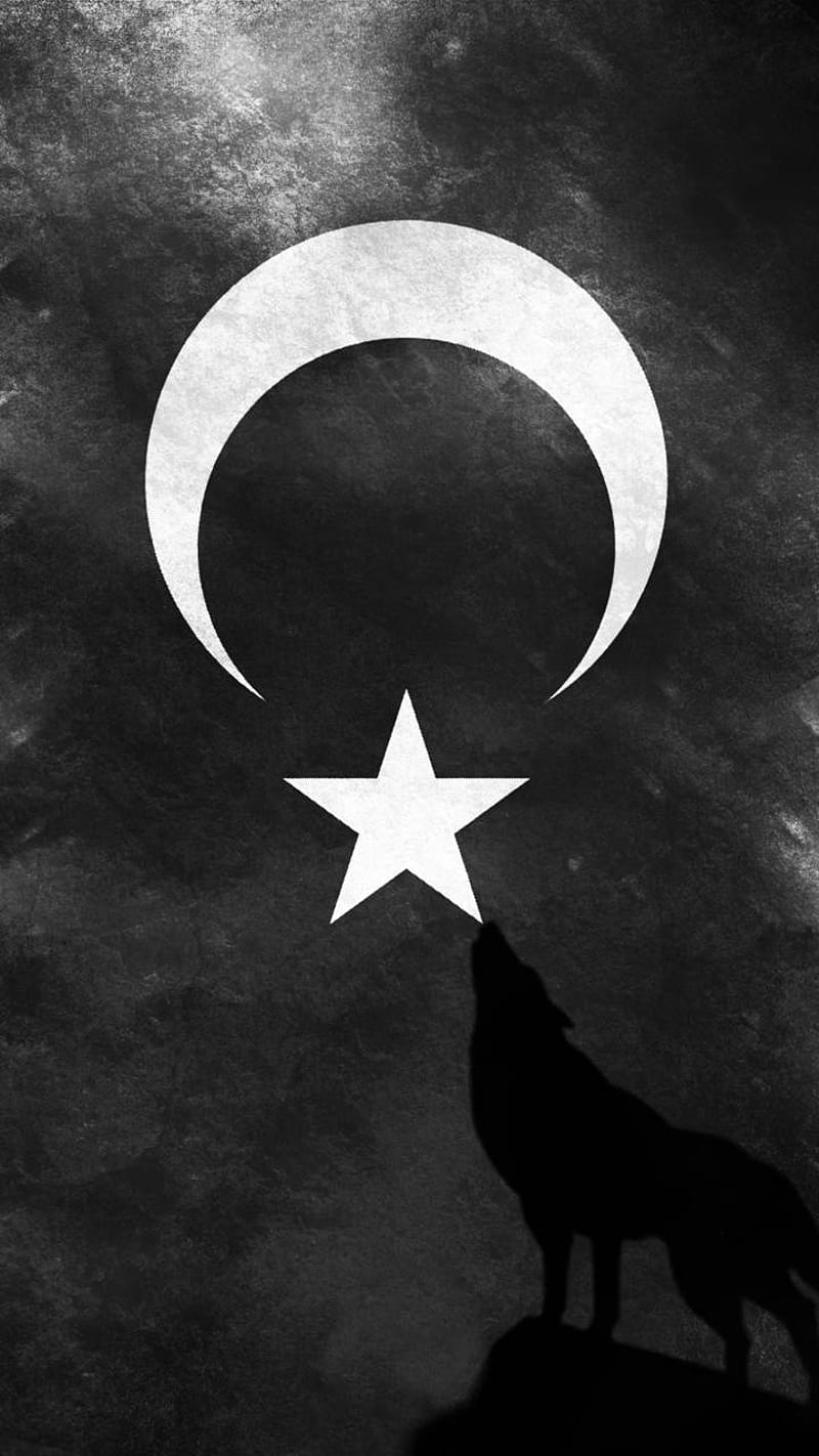 Turk, flag, turkiye, HD phone wallpaper