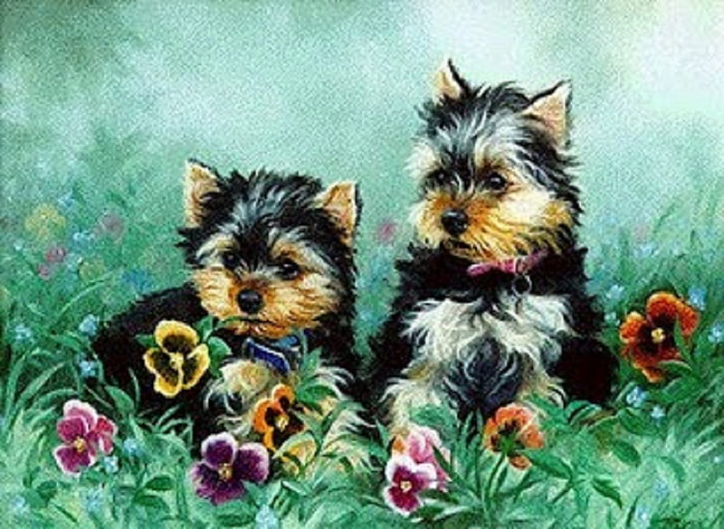 Yorkies (Linda Picken), painting, picken, yorkshire, dog, HD wallpaper