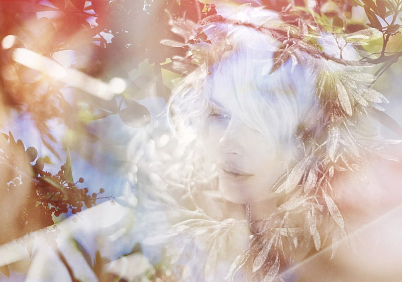SunShine Dreamer, forest, blonde, bonito, young girl, dreamer, love, siempre, nature, sunshine, HD wallpaper