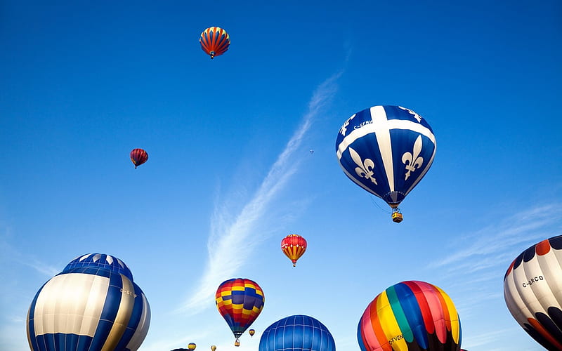 Hot air balloons rising into blue sky, HD wallpaper