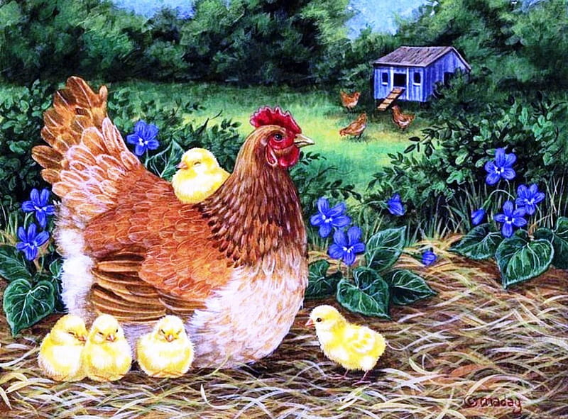 Hen and Chicks, grass, birds, flowers, path, garden, artwork, HD wallpaper