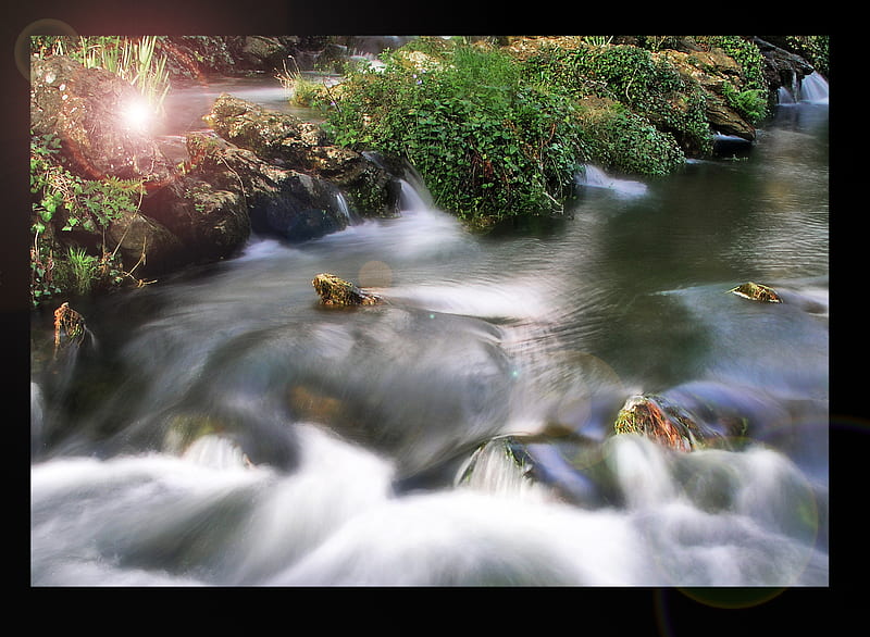 River running, water, stones, green, plants, nature, river, run, HD wallpaper