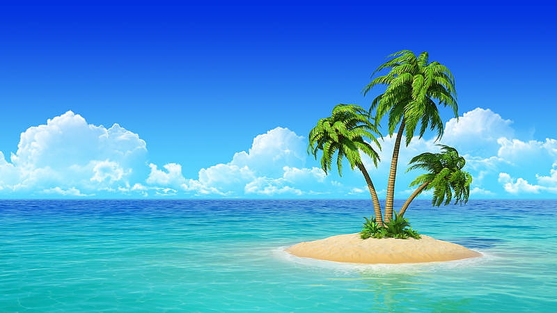 Coconut trees in the blue beach, Ocean, beach, Holiday, Island, HD wallpaper