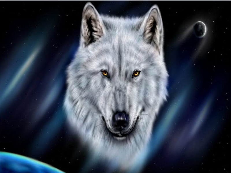 Snow Wolf, Animal, Head, white, Wolf, HD wallpaper