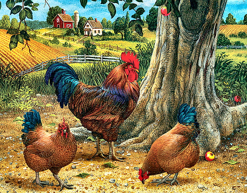 Rooster and Hens F2, rooster, art, hens, bonito, illustration, artwork, animal, bird, avian, painting, wide screen, chickens, landscape, farm animals, HD wallpaper