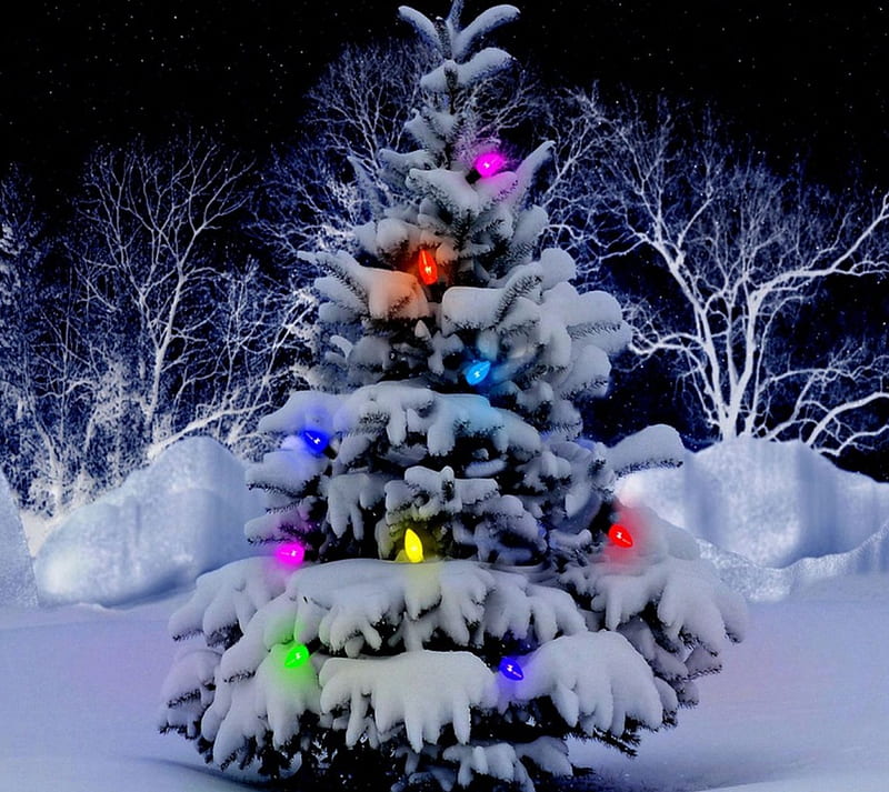 Christmas Tree, christmas, lights, tree, winter, HD wallpaper