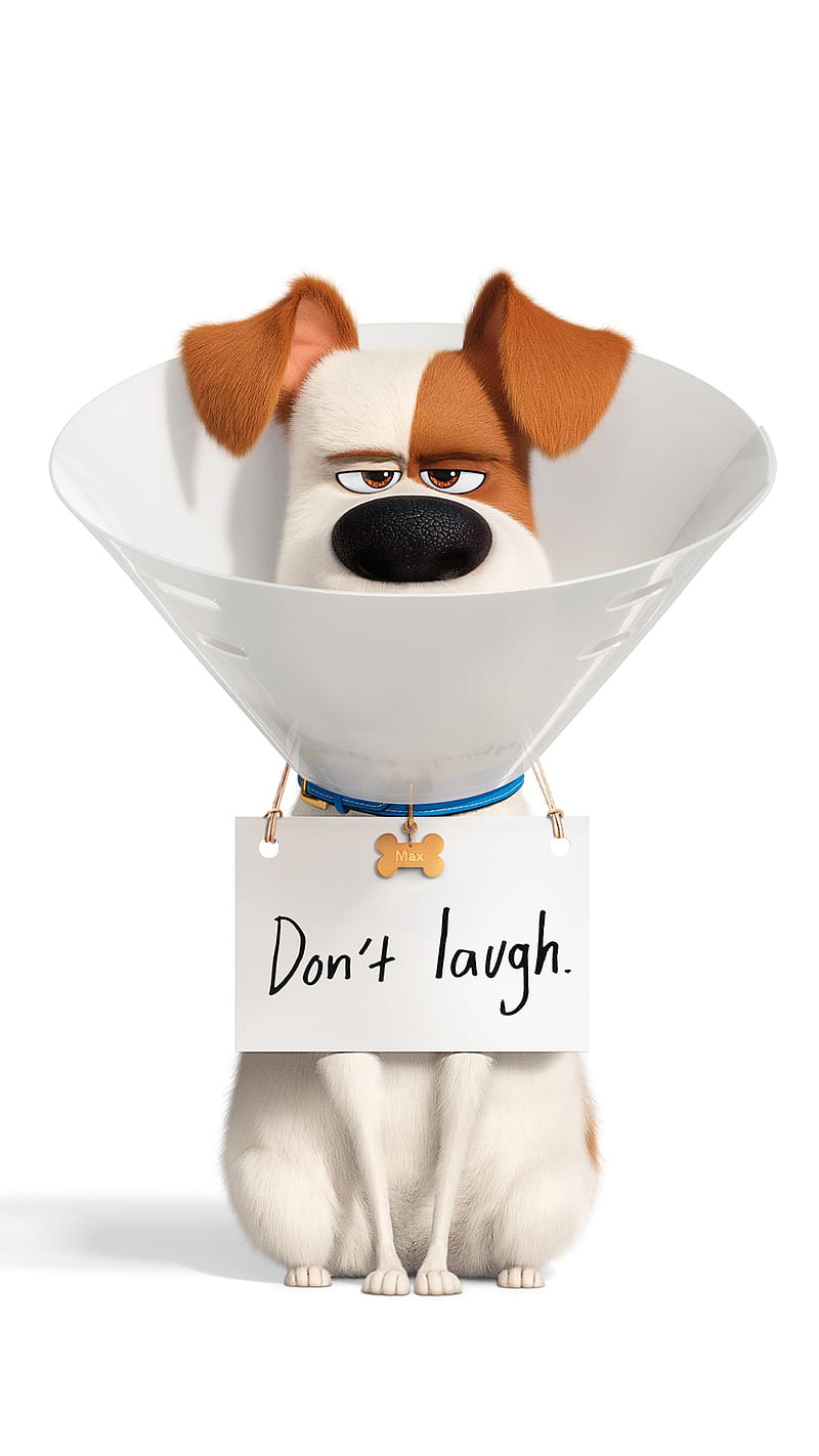 Dont laugh, dog, funny, humor, cartoon, character, animation, saying, HD phone wallpaper