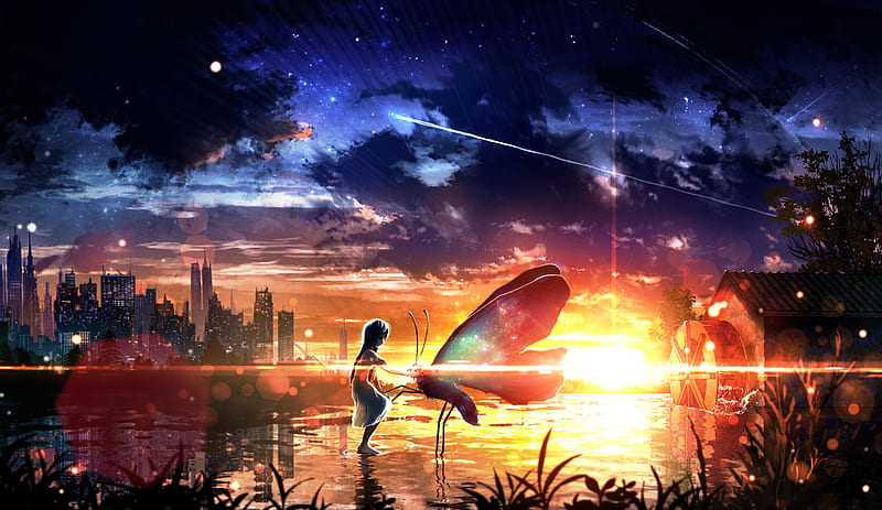 Anime, Original, Butterfly, Girl, Sky, Starry Sky, Sunset, HD wallpaper