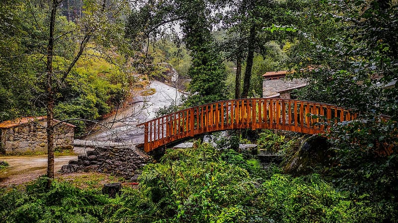 Park at Barro, Galicia, Spain, trees, bridge, river, house, plants, landscape, HD wallpaper