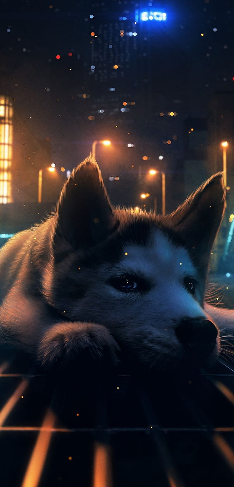 Wolf, android, aurora, galaxy, lights, new, north, note, pole, storm, HD phone wallpaper