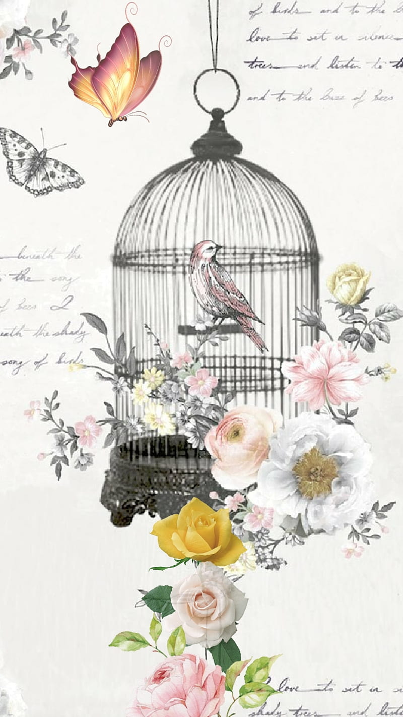 The Birdcage, bird, cage, chic, floral, pastels, pet, shabby, tweet, vintage, HD phone wallpaper