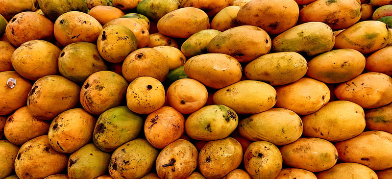Mangoes, best , yellow, HD wallpaper