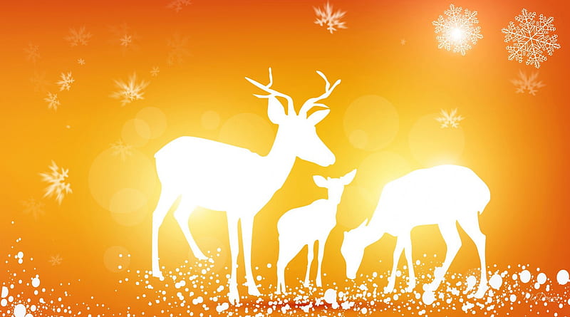 Deer Family Winter, fall, autumn, fawn, orange, buck, silhouettes, deer, winter, doe, snow, snowflakes, bright, light, HD wallpaper