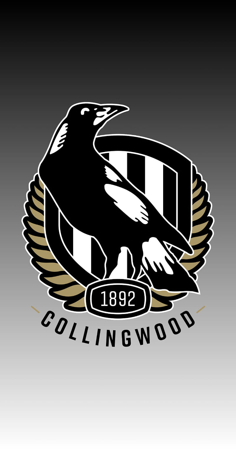 Collingwood Magpies, afl, HD phone wallpaper