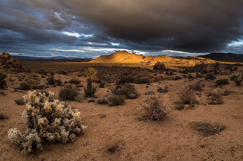 Cloudy Sunset at Joshua Tree National Park, Clouds, National Parks, Deserts, Sunsets, Nature, HD wallpaper
