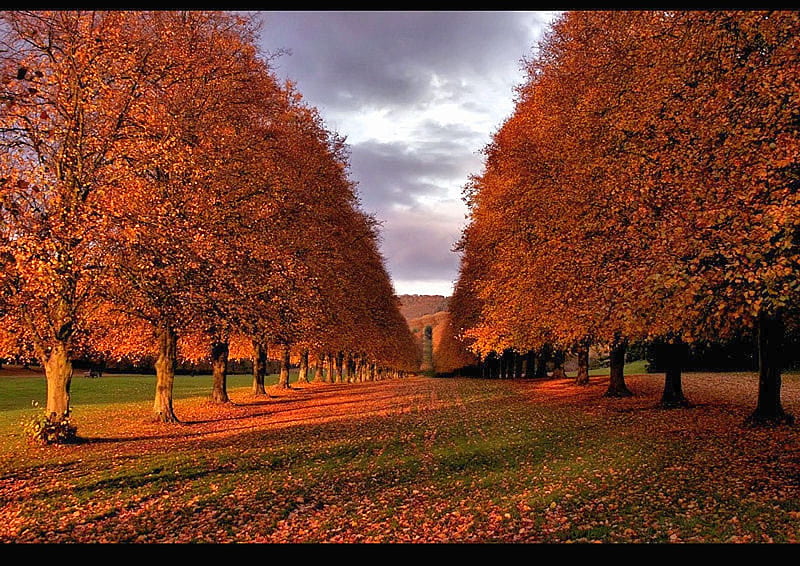 Stormont-Ireland-in-Late-Autumn, autumn, ireland, bonito, stormont, HD wallpaper
