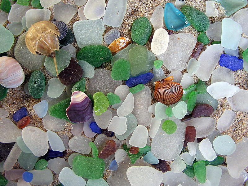 seaglass, sand, graphy, pebbles, flowers, sea, HD wallpaper