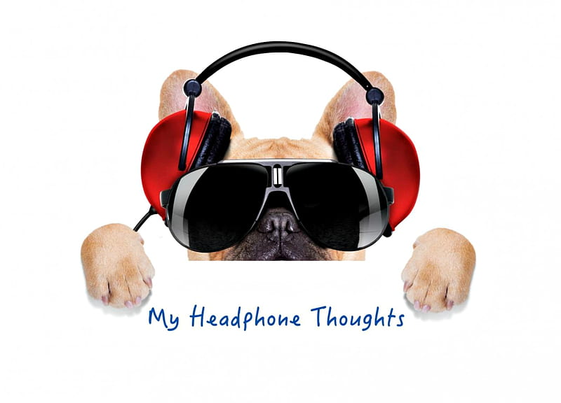 My headphone thoughts, red, paw, caine, card, sunglasses, funny, headphone, white, puppy, dog, HD wallpaper