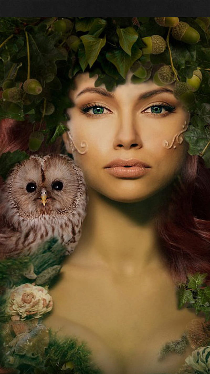 lady, art, bird, face, fantasy, leaves, owl, HD phone wallpaper