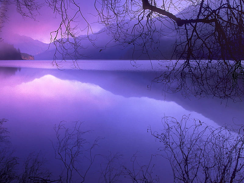 Untitled , purple, olympic national park, lake crescent, purple sunset, HD wallpaper