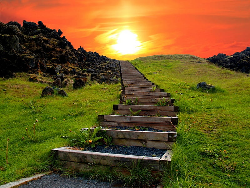 Beautiful Sunset, colorful, sun, grass, stairs, bonito, sunset, magic, splendor, green, flowers, beauty, scenery, hill, amazing, hills, lovely, view, sunlight, colors, sky, peaceful, nature, stairway, steps, field, landscape, HD wallpaper