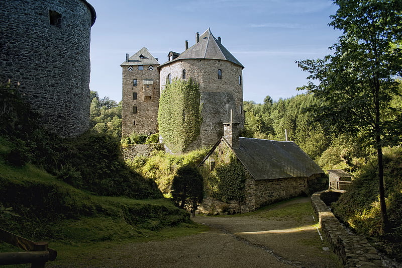 Reinhardstein Castle, reinhardstein, grass, trees, belgium, stronghold, medieval, stone, fortress, classic, burg, castle, HD wallpaper