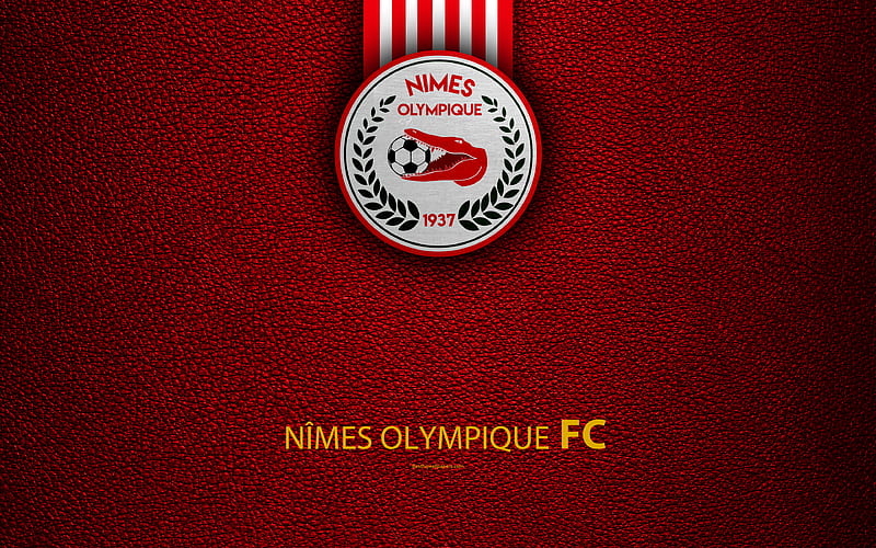 Nimes Olympique FC, French football club Ligue 2, leather texture, logo, Nimes, France, second division, football, HD wallpaper