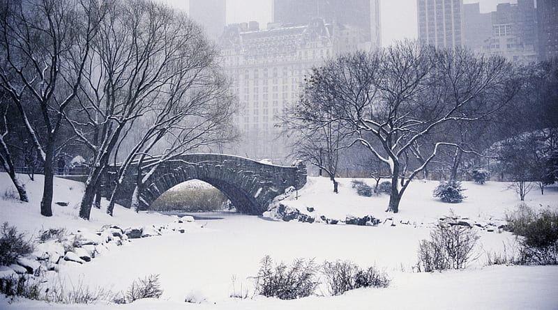 Winter In The City Park, city, central park, snow, bridge, new york city, park, winter, HD wallpaper