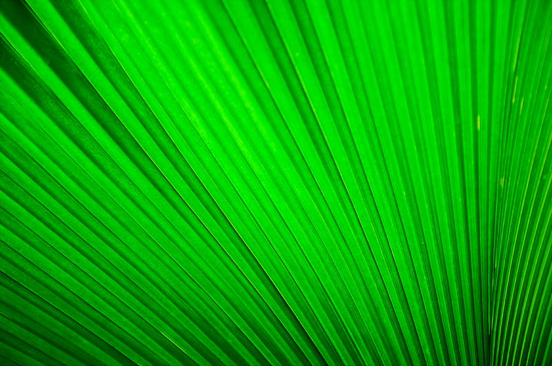 green pleated textile, HD wallpaper