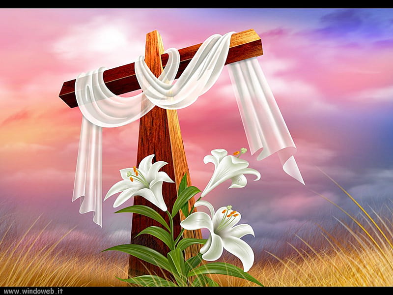 Holy Cross, christianity, sunset, religion, christ, jesus, unset, flower, cross, god, HD wallpaper