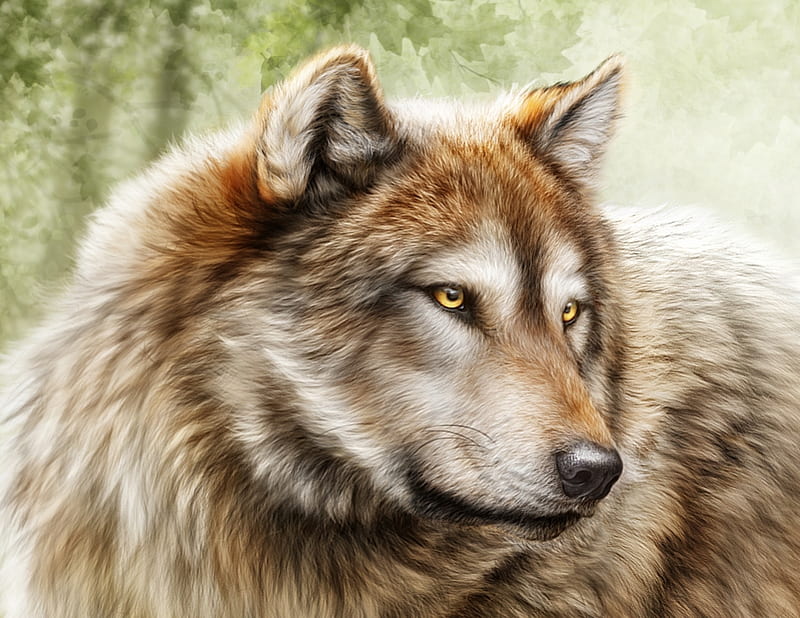 Wolf, alenaekaterinburg, fantasy, luminos, lup, animal, HD wallpaper ...