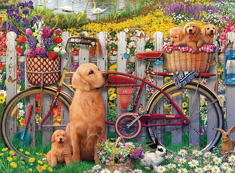 :), bike, puppy, dog, fence, rabbit, labrador, caine, vara, garden, flower, summer, bunny, HD wallpaper