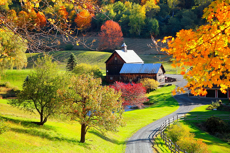 Autumn in countryside, fall, autumn, Vermont, colors, bonito, trees ...