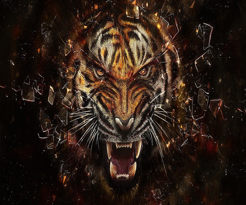 Tiger, creative, glass, HD wallpaper | Peakpx