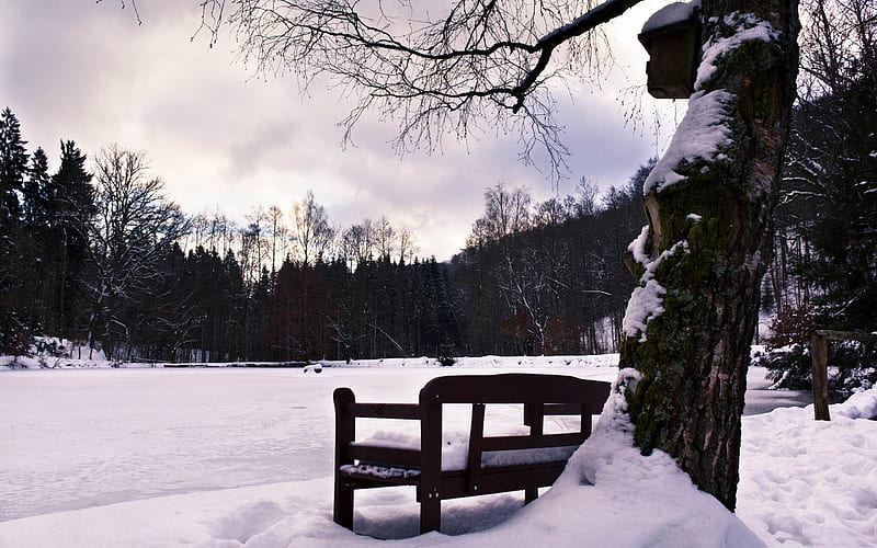 bench in winter-Winter snow scenes, HD wallpaper