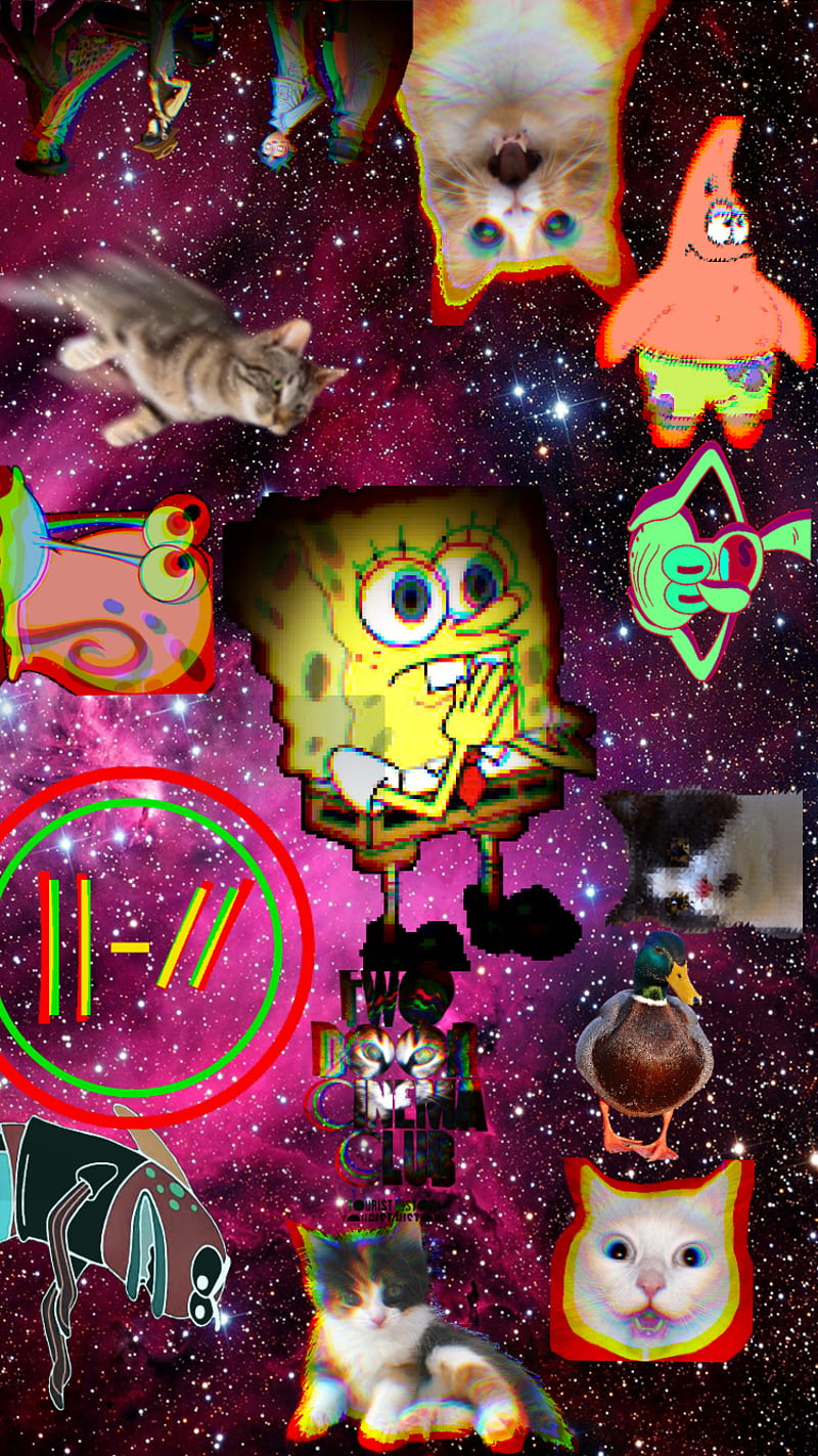 random, bob esponja, space, cats, gorillaz, patos, tdcc, twenty one pilots, HD phone wallpaper